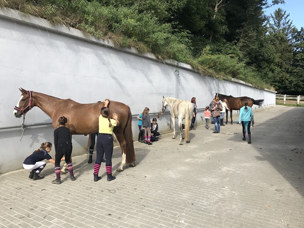 Cavallo Szkółka Jeździecka - zdjęcie 6